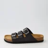 Alfy Schwarz Leather Sandals