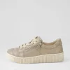 Amelia Muschel Beige Suede Sneakers