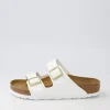 Arizona White Birkoflor Patent Slides