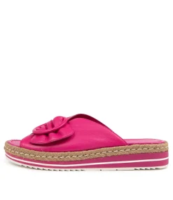Arturo Lrg Fuchsia
