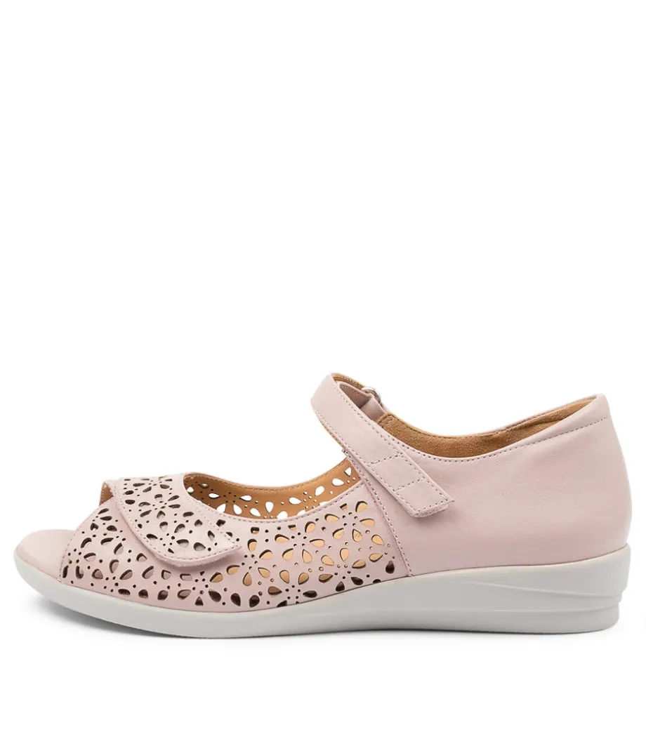 Daffodil W Seashell Lea