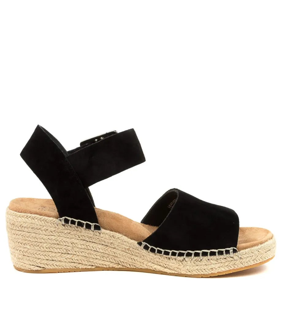 Kraig Xw Black Suede