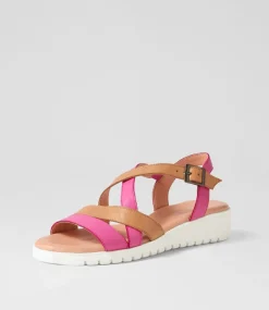 Matedy Fuchsia Dark Tan Multi Sandals