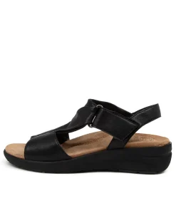Nazly Xw Black-Black Leat
