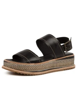 Vijay Black Leather